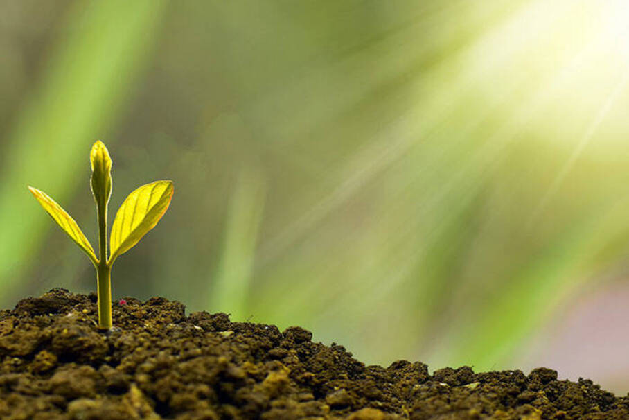 A Future Full of Hope: 2025 Lay Ecclesial Ministry Retreat