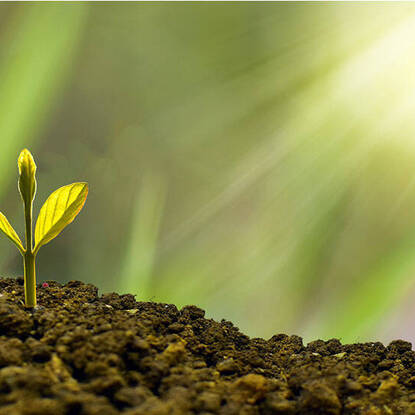 A Future Full of Hope: 2025 Lay Ecclesial Ministry Retreat