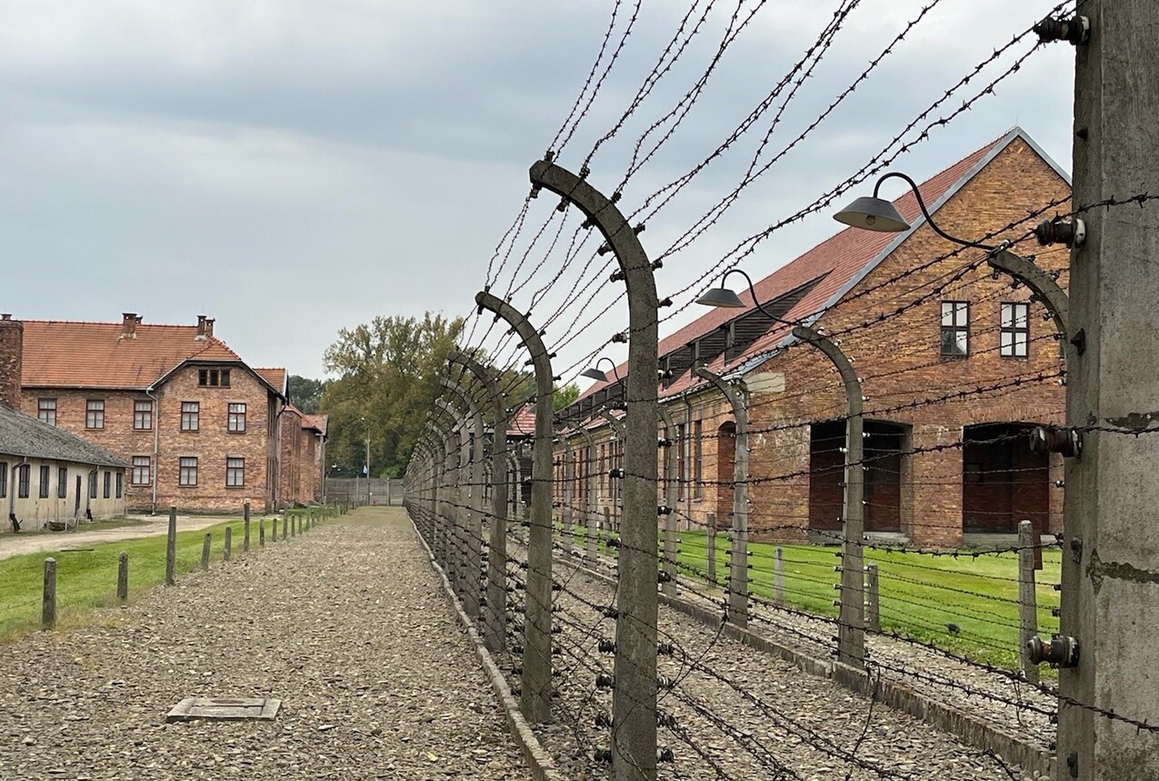 Birkenau 