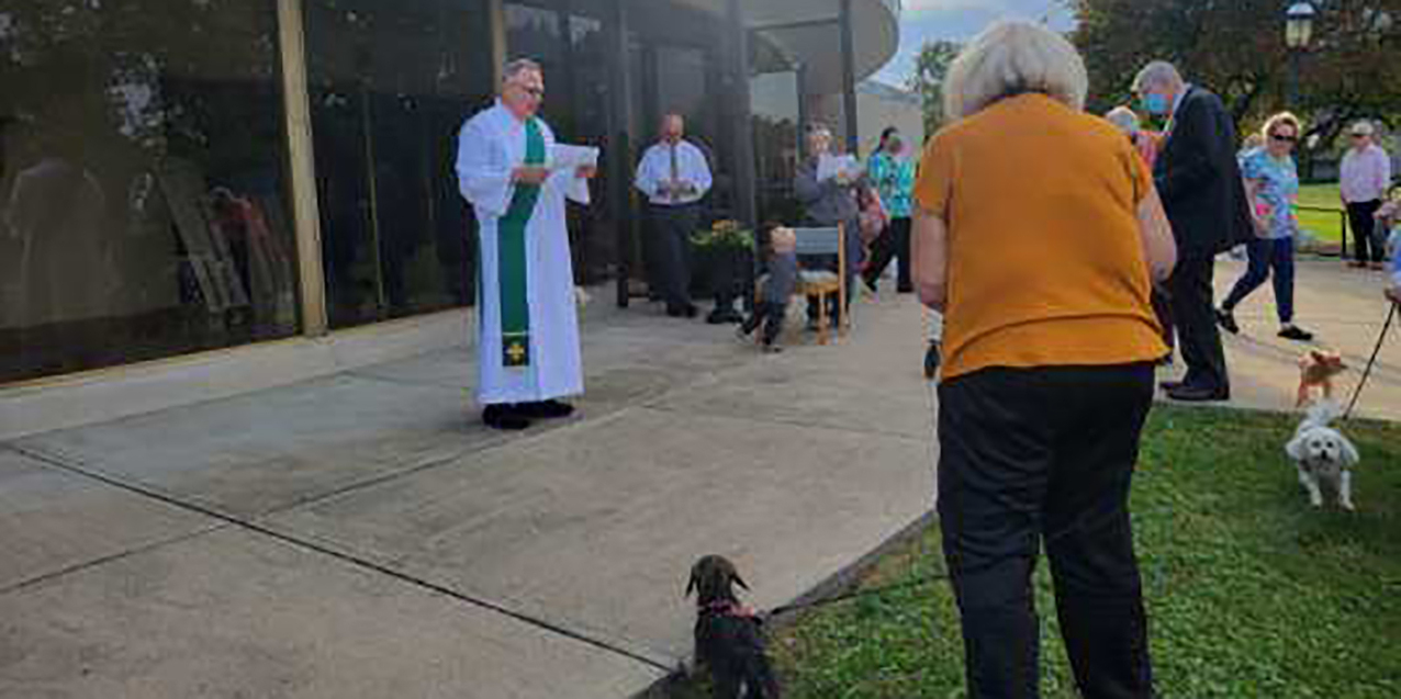 Humans, pets drawn to ‘@7 on 17th’  and other parish pet blessings