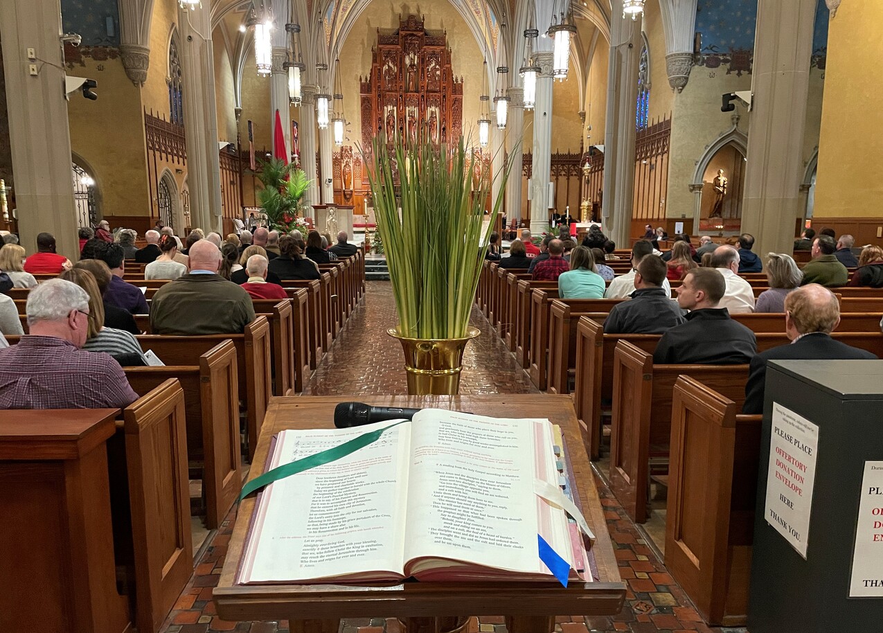 Holy Week liturgies begin on Palm Sunday at cathedral